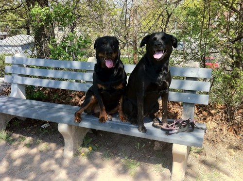 deson81's profile picture. 