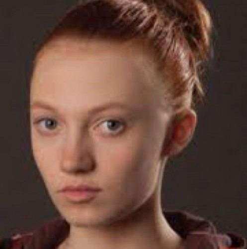 IAmFoxFace's profile picture. I am the clever and mysterious FoxFace a tribute for The 74th Hunger Games from District 5 and yet I was taken down by a hand full of berries.