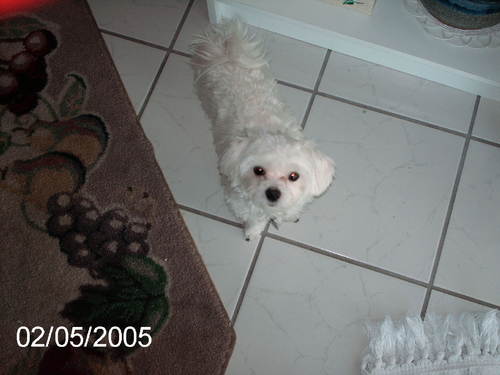 sandyhanson1's profile picture. Stay at home mother and online marketer