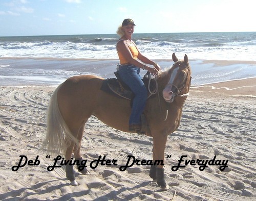 AmeliaHorse's profile picture. I have the greatest business!  I get to fulfill dreams for people everyday by taking them horseback riding on the beautiful beaches of Amelia Island, FL