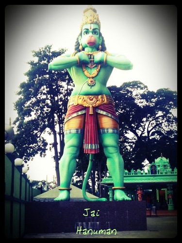 ConstipatedLove's profile picture. 