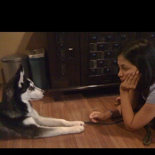 imajusuf's profile picture. 