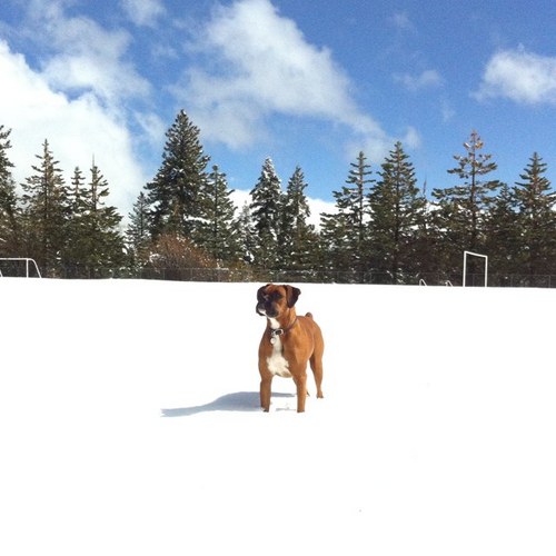 merlin8182's profile picture. 