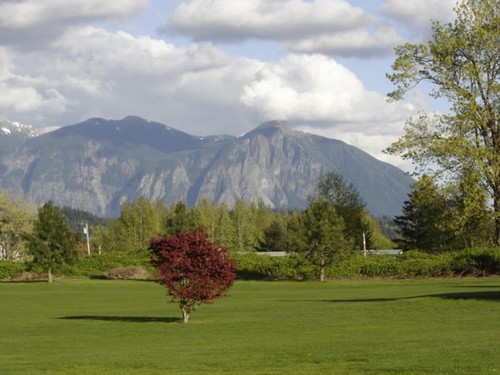 trgolfcourse's profile picture. Enjoy great golf golf and beautiul scenery at affordable rates!