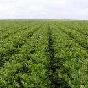 John Rumley - @rum4712 - Twitter