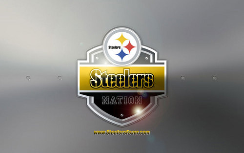 Huge STEELERS fan. Love my son, money, sports, outdoors and Snowboarding.