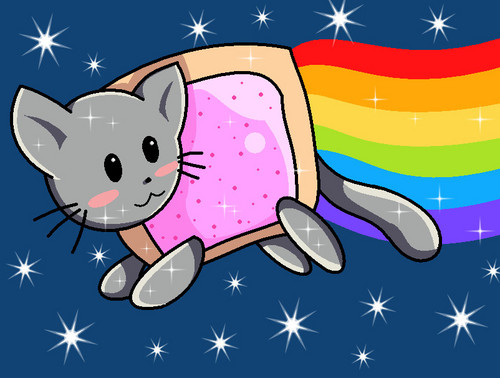 wildcat900's profile picture. 