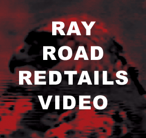 Help homeless kids in America by purchasing this video. Visit the website to find out more.