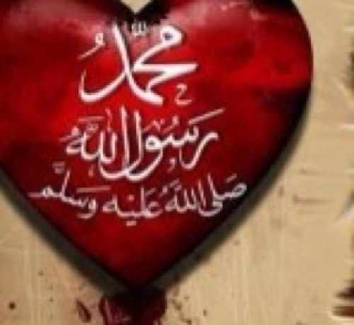 FIDAK_'s profile picture. 