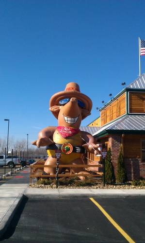 TXRHMansfield's profile picture. 