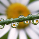 Debra Edmonds - @iam7of9 - Twitter