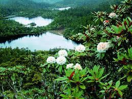 Climate Change Profile