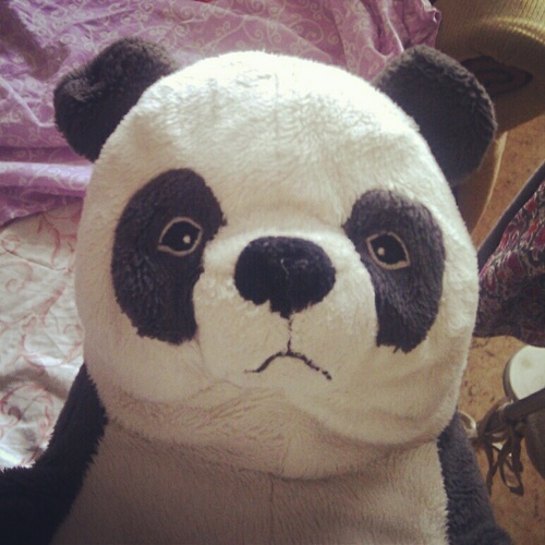 aleksandra_may_'s profile picture. 