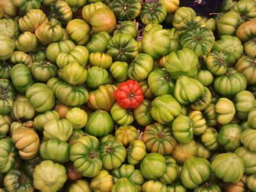 vincenzom62's profile picture. 