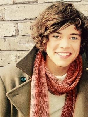 Hey everyone I am a true directioner. This is a fan page for Harry Styles :P he is my favorite on 1D. So follow and put in your thoughts :)