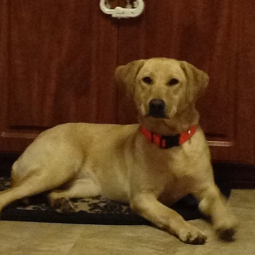 eherrmann123's profile picture. 