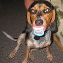 Tom Copeland - @TomJup1 - Twitter