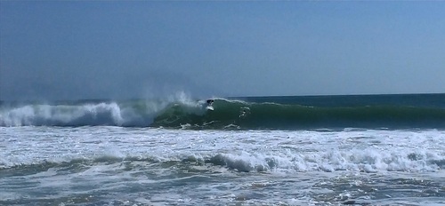 stanciolini's profile picture. So childish!