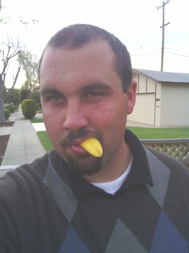 qfbilly's profile picture. i live in san Jose. and i am the happiest person you will ever know