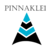 Pinnakle1