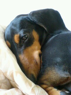 gakutip's profile picture. 52歳のサラリーマン