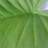 PDolores1's profile image