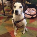 Leigh Anne Biggs - @gptgirl6071 - Twitter