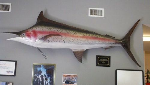 perfectdrift8's profile picture. 