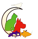17,000 pet supply products. Great deals! Dog, Cat, Bird, Fish and Reptile supplies. Safe, secure shopping, Free Shipping(most orders) and an amazing selection!