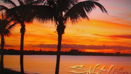 jaxjaggfannkim's profile picture. I love the Jaguars, the beach, music and Florida!