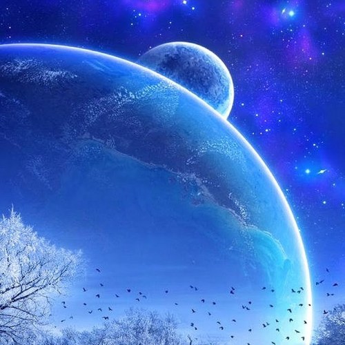 golffitlove's profile picture. 