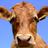 UnBuey's profile image