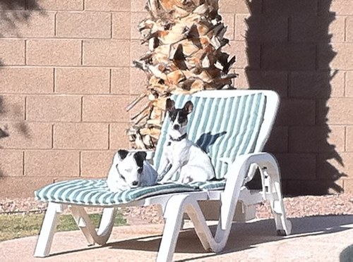 stroud_bob's profile picture. 