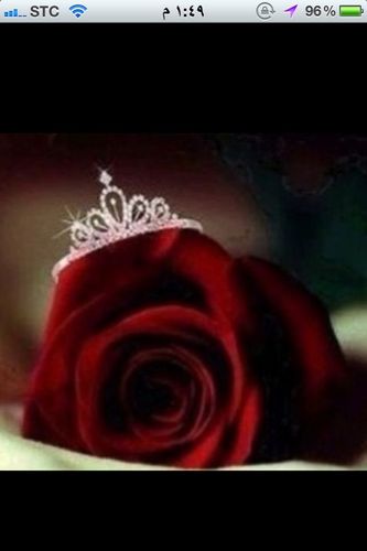 lazyreader1's profile picture. I like many things but i am lazy 2 do any thing :)