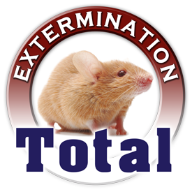 TotalExt's profile picture. Total Extermination : Votre référence en extermination (conseils et vente de produits)