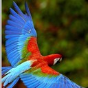 Preston Mackey - @Mackeypres - Twitter