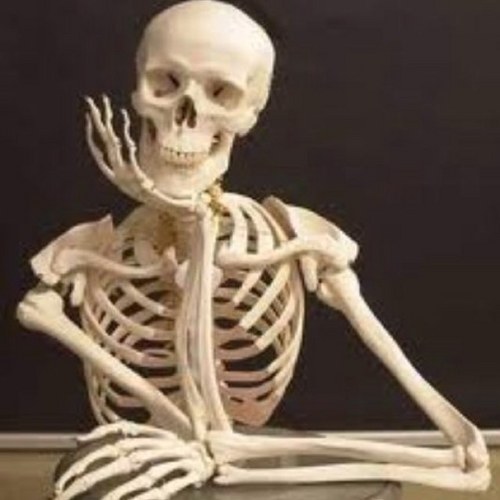 toxopg's profile picture. 