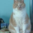 Lori Ness - @ness5775 - Twitter