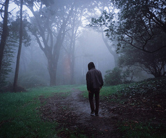 goendit's profile picture. 