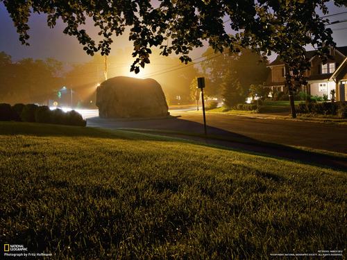 testwebsite30's profile picture. 