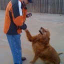 William Hess - @will_hess - Twitter