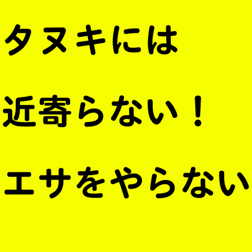 青葉のタヌキさんのプロフィール画像