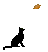 _barbaraim's profile image