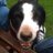 Pammyo999's profile image