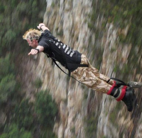 cdkingy's profile picture. 