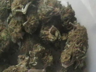 mjmailorder's profile picture. UK  IRELAND  USA