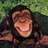 leykr's profile image