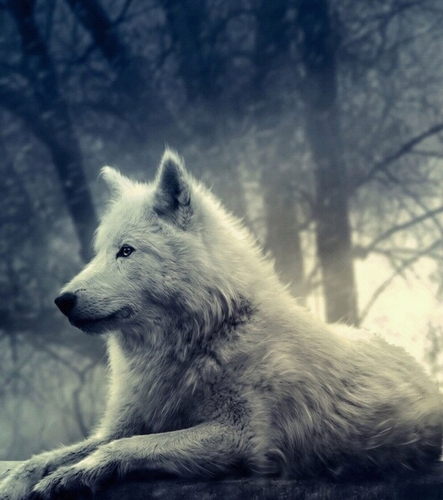 pico8316's profile picture. 카리스마 ㅎㅎ