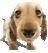 EnrikeDiazT's profile image