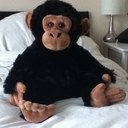 Mark Adey - @mark_adey - Twitter